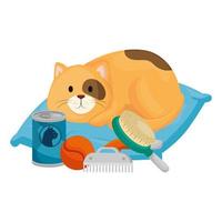 cute little cat in cushion and icons vector