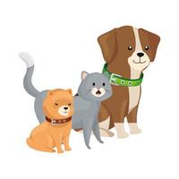 cute cat and dogs animals isolated icon vector