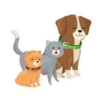 Lindo gato y perro animales icono aislado vector