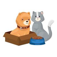 lindo perro en caja de cartón y gato con plato de comida vector