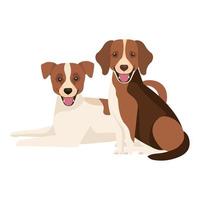 group of dogs brown and white vector