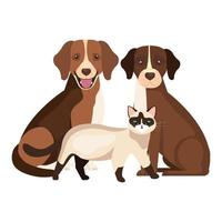 grupo de perros con gato iconos aislados vector