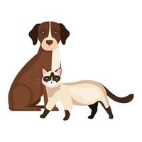 cute dog with cat isolated icons vector