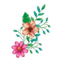 cute flowers with branches and leafs vector