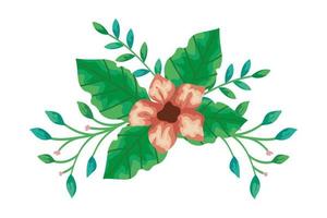 cute flower with branches and leafs vector