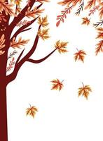 autumn tree plant with leafs seasonal icon vector