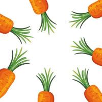 frame of fresh carrots vegetables vector