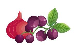 Uvas frescas con cebolla púrpura icono aislado vector