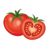 tomates frescos vegetales icono aislado vector