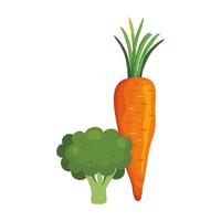 fresh broccoli with carrot vegetables vector
