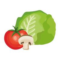 fresh tomato with mushroom and lettuce vector