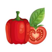 fresh tomato with pepper vegetables isolated icons vector