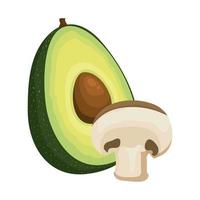 fresh avocado and mushroom vegetables vector