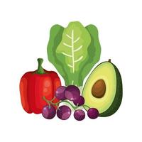 fresh vegetables and grapes fruits vector