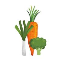 fresh carrot with leek and broccoli vector