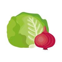 fresh lettuce with purple onion vegetables vector