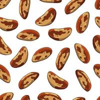 Pattern of vector colorful illustrations on the nutrition theme set of brazilian nuts. Realistic isolated objects for your design.