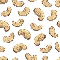 Pattern of vector illustrations on the nutrition theme set of cashews. Realistic isolated objects for your design.