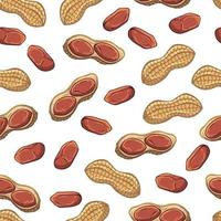 Pattern of vector illustrations on the nutrition theme set of peanuts. Realistic isolated objects for your design.