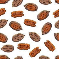 Pattern of vector illustrations on the nutrition theme set of pecans. Realistic isolated objects for your design.