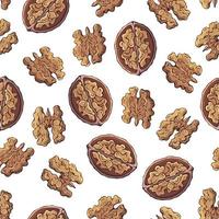 Pattern of vector illustrations on the nutrition theme set of walnuts. Realistic isolated objects for your design.