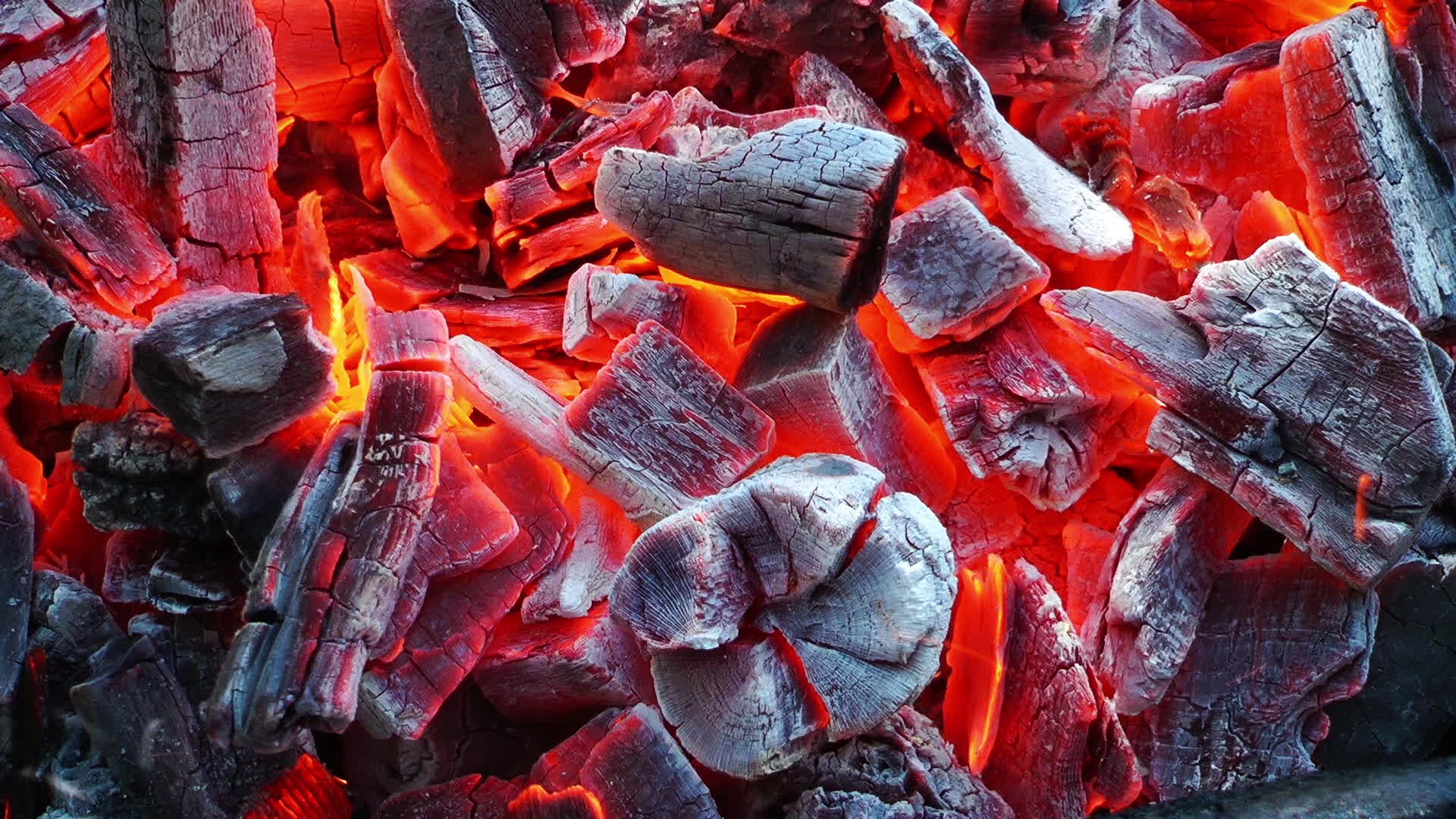 Coal Fire Burn 1908919 Stock Video at Vecteezy