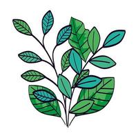 branches with leafs natural isolated icon vector