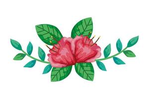 cute flowers red with branches and leafs isolated icon vector