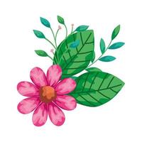 cute flower pink with branches and leafs isolated icon vector