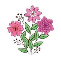 cute flowers pink and purple with leafs vector