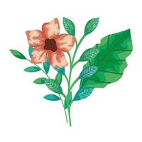 cute flowers with branches and leafs isolated icon vector