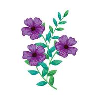 cute flowers purple with branches and leafs isolated icon vector