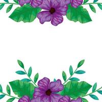 frame of flowers purple with branches and leafs vector