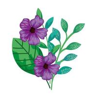 cute flowers purple with branches and leafs isolated icon vector