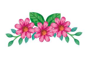 Decoración de lindas flores de color rosa con ramas y hojas. vector