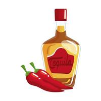 Botella de tequila mexicano aislado y diseño vectorial de chiles vector