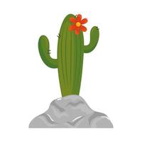 Planta de cactus aislada con diseño de vector de flor