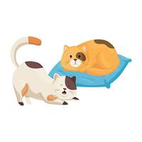 cute little cats with cushion isolated icon vector