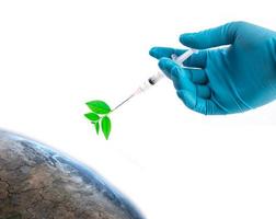 Hand in a blue glove holding syringe, inject plants to the world photo