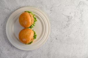 Two hamburgers placed on a white dish beautifully photo