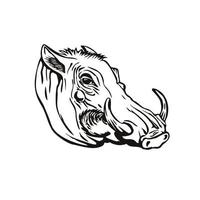 Head of Common Warthog vector