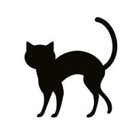 silhouette cat animal of halloween vector