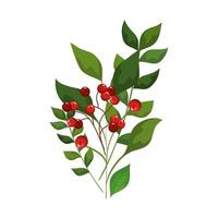 leafs and branches with seeds decoration christmas vector