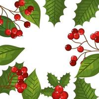 frame of leafs and branches with seeds christmas icons vector