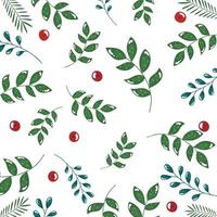 pattern of branches with leafs and seeds vector