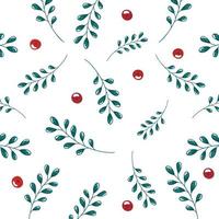 pattern of branches with leafs and seeds vector