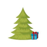 pine tree christmas with gift box isolated icon vector