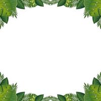 frame of leafs nature isolated icon vector