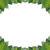 frame of leafs nature isolated icon vector