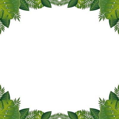 frame of leafs nature isolated icon